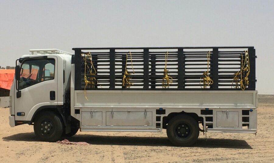 دينة للبيع في الرياض موديل ايسوزو بحالة ممتازة